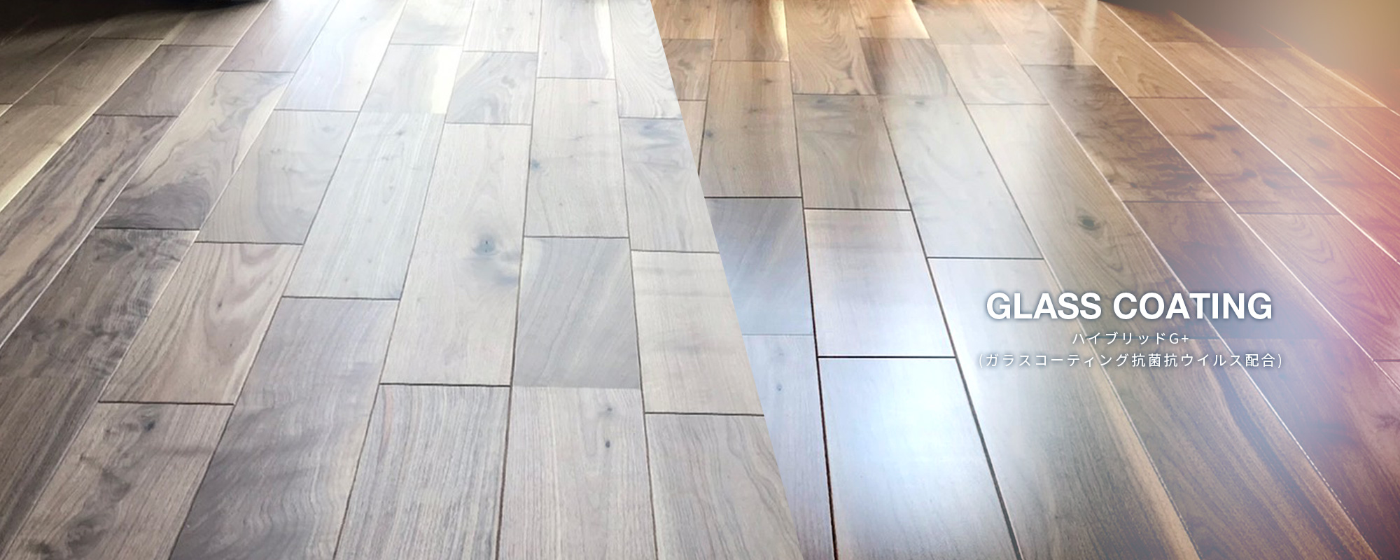 ハイブリッドG+(ｶﾞﾗｽｺｰﾃｨﾝｸﾞ/抗菌抗ウイルス配合)